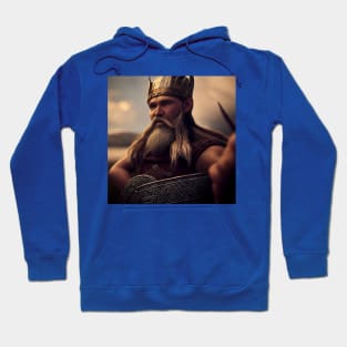 Viking Raider Hoodie